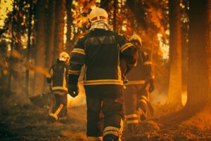 three firefighters walking into a forest that is on fire